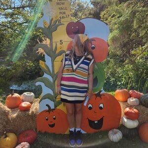 Colorful Striped ZARA Sweater Vest